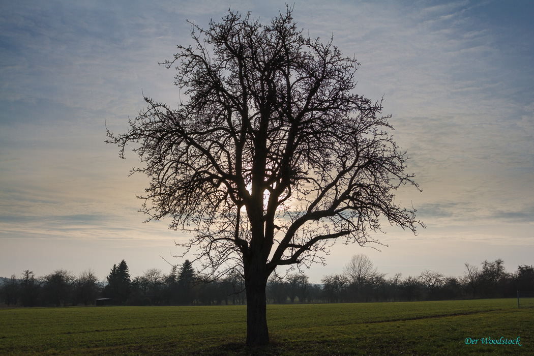 Mittelfranken