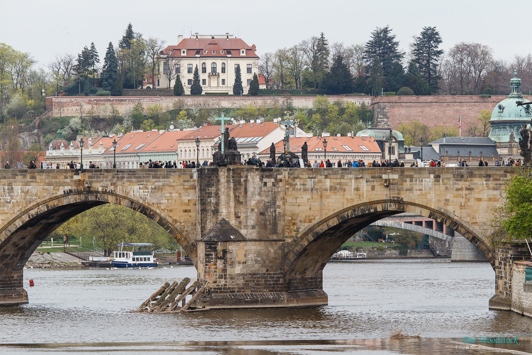 Die belebte Karlsbrücke